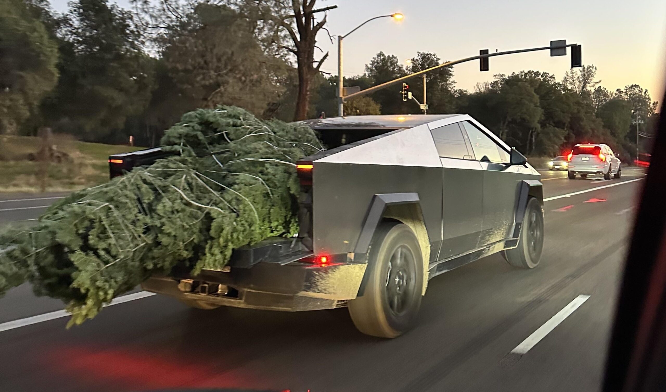 Cybertruck hauling BACT (Big Ass Christmas Tree) with tailgate down 🎄 ...